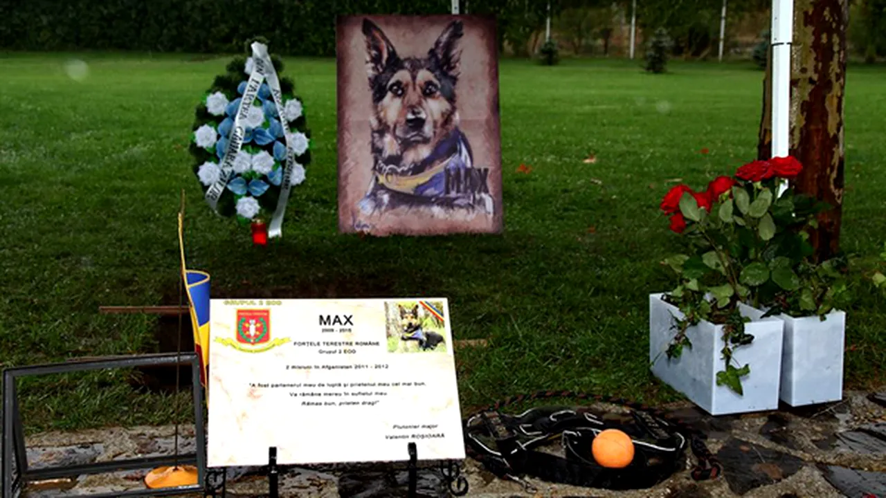 Primăria Capitalei vrea să amplaseze un monument dedicat câinilor de serviciu în Parcul Herăstrău