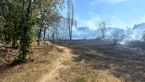 Bucureştenii, chemaţi să formeze un lanţ uman în jurul Parcului IOR pentru a opri distrugerile