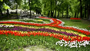 21 martie, Ziua Olteniei. Regiunea care a dat startul uneia dintre cele mai importante mișcări din istoria României