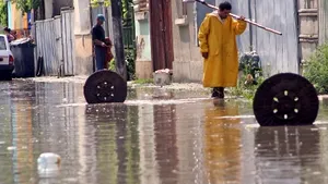 Mai multe străzi din Timişoara au fost blocate din cauza unei furtuni