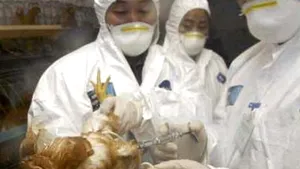 China: O femeie bolnavă de gripă aviară a decedat