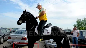 Trei comisari ai Gărzii de Mediu fac verificări la proprietatea lui Nuţu Cămătaru. Mama fraţilor Cămătaru: Statul nu are bani să hrănească animalele lui Nuţu - VIDEO