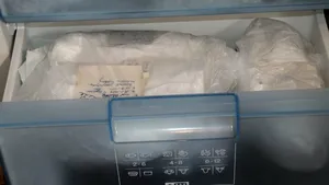 În Cehia, poliția a găsit aproape 100 de pui de pisică morți în congelatorul unei femei