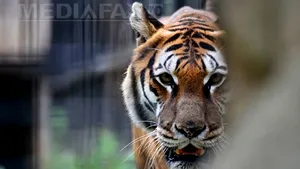 Ziua Animalelor, serbată duminică la Zoo Bucureşti. Cei cu nume de animale intră gratuit la Antipa