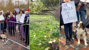 Ciucu: Cazul din Parcul IOR e revoltător