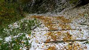 Prima ninsoare din acest sezon, în staţiunile de pe Valea Prahovei