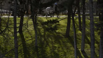 SOCIAL Vremea de Crăciun 2025: Regiunile care vor avea peste 10 grade și unde va fi frig