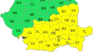 Avertizare cod galben: Ninsori  şi viscol în Oltenia, Muntenia, Dobrogea