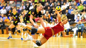 Ioan Gavrilescu: Vrem o sală mai mare