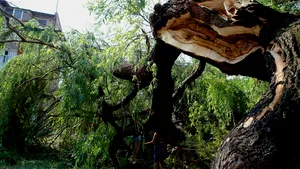 Mai mult de 5000 de persoane din Prahova au rămas fără curent electric în urma unei furtuni puternice