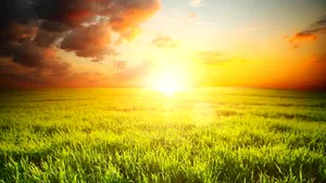 Vremea va fi predominant frumoasă. PROGNOZA METEO pentru joi şi vineri