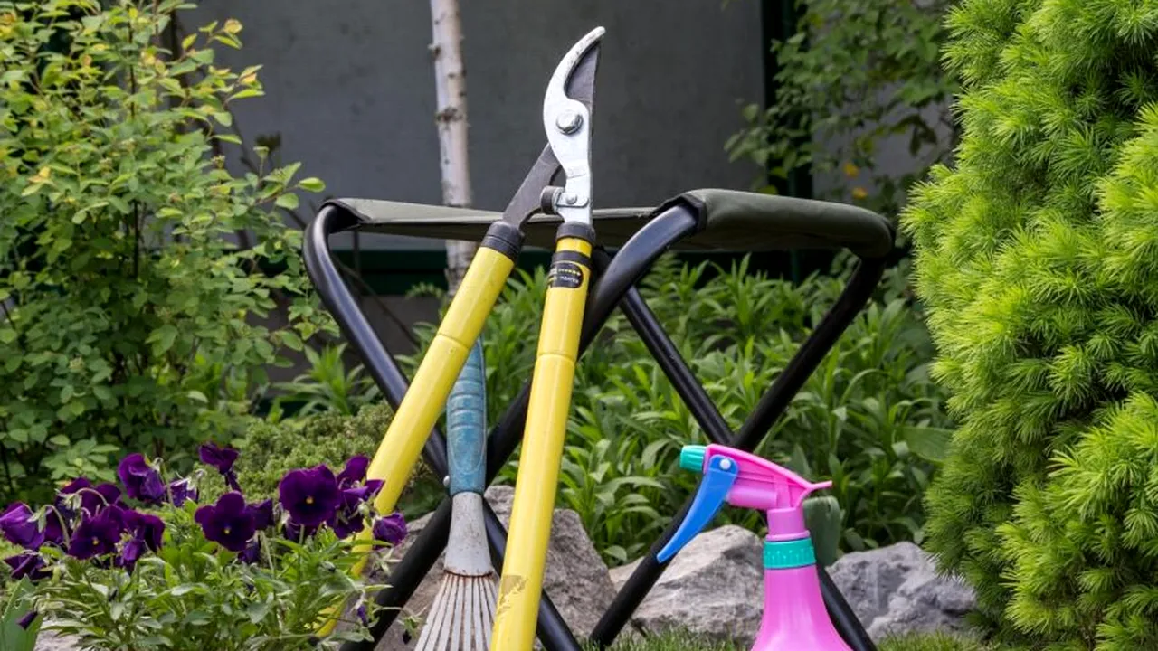 Opt sarcini de făcut în grădină înainte de sfârșitul lunii august. Ce recomandă horticultorii
