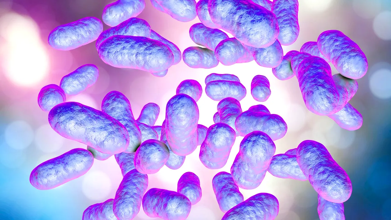 Un studiu arată că SARS-COV-2 s-ar comporta un bacteriofag. Ce s-a descoperit în microflora mai multor pacienţi din Wuhan
