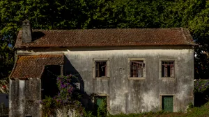 Visul unui american de a avea o casă în Balcani, dat peste cap. Descoperirea periculoasă care i-a schimbat planurile