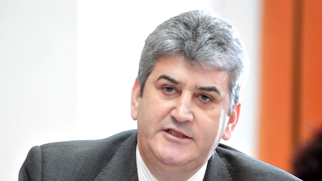 Oprea: Îndeplinirea angajamentelor faţă de NATO şi UE, influenţată de fondurile insuficiente