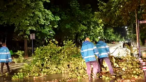 Avertizare METEO, în vigoare: Cod GALBEN de furtuni, în toată ţara/ Oameni răniţi, peste 100 de copaci căzuţi, şi zeci de acoperişuri doborâte de vijelii/ Situaţia în Bucureşti