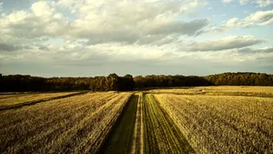 Eden Research plc şi Corteva Agriscience pregătesc introducerea Ecovelex™ 
