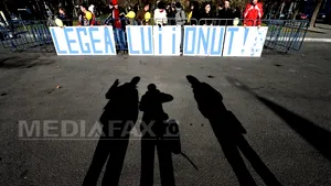 PROTEST, în Capitală, faţă de lipsa normelor de aplicare a legii câinilor maidanezi