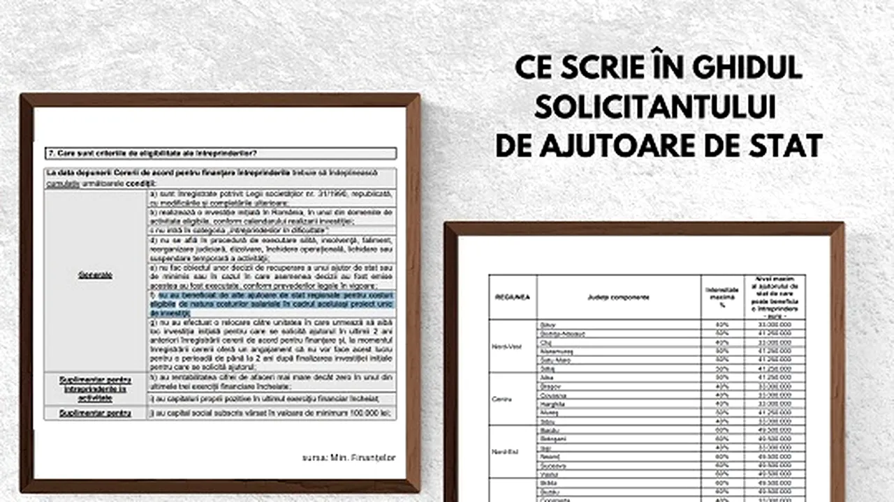 Analiză Frames. Cine şi cum decide acordarea ajutoarelor de stat.