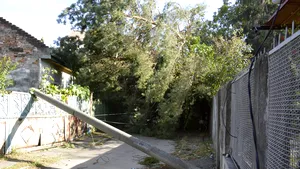 ANM: Cod PORTOCALIU de vijelii în cinci judeţe din ţară, începând cu ora 16.00. Restul ţării va fi sub cod GALBEN | HARTA zonelor vizate/ Pompieri, trimişi din timp în teritoriile sub alertă