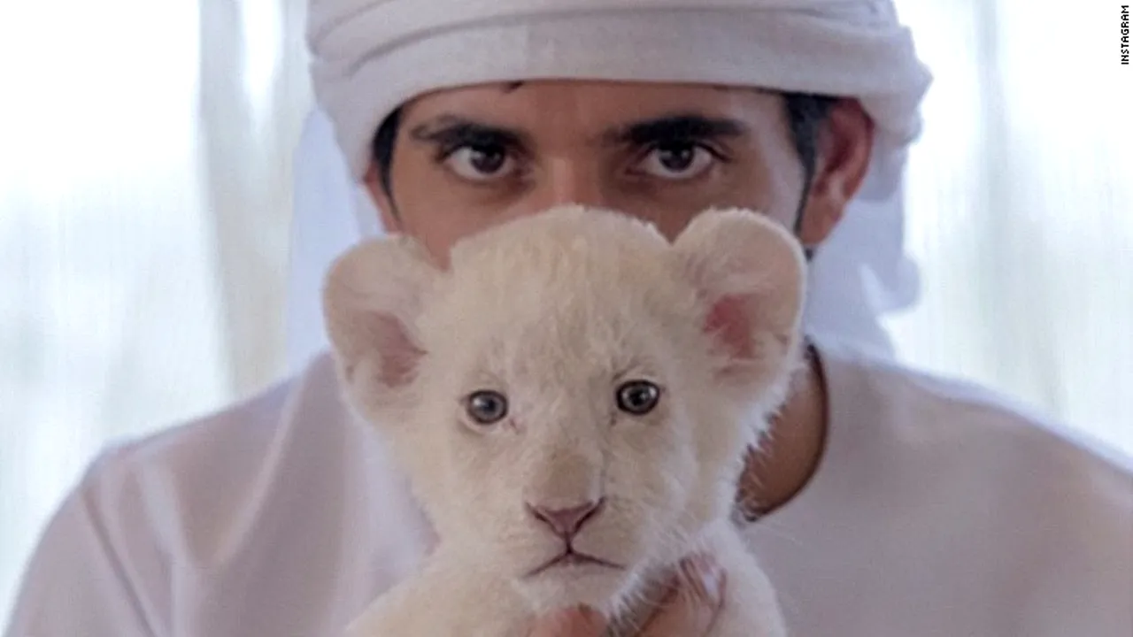 Gheparzii, tigrii şi leii au fost interzişi ca animale de companie în Emiratele Arabe Unite