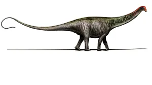 STUDIU: Brontozaurul a existat în realitate şi şi-a recâştigat denumirea ştiinţifică oficială