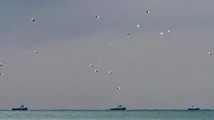 Statele Unite, Germania, Franţa şi Siria exprimă solidaritate cu Rusia după tragedia aviatică