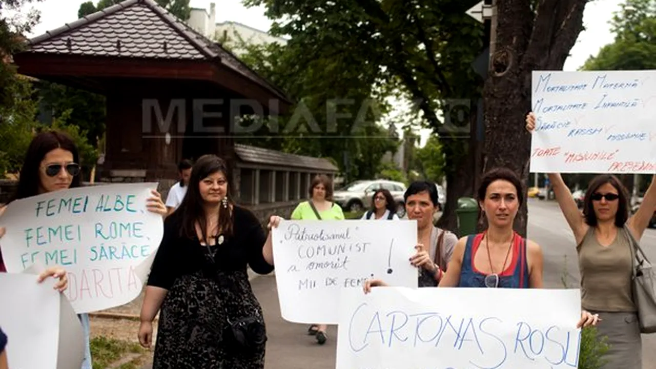 Romani Criss şi Centrul de Resurse Juridice: Băsescu a făcut afirmaţii care discriminează şi jignesc femeile rome şi românce deopotrivă