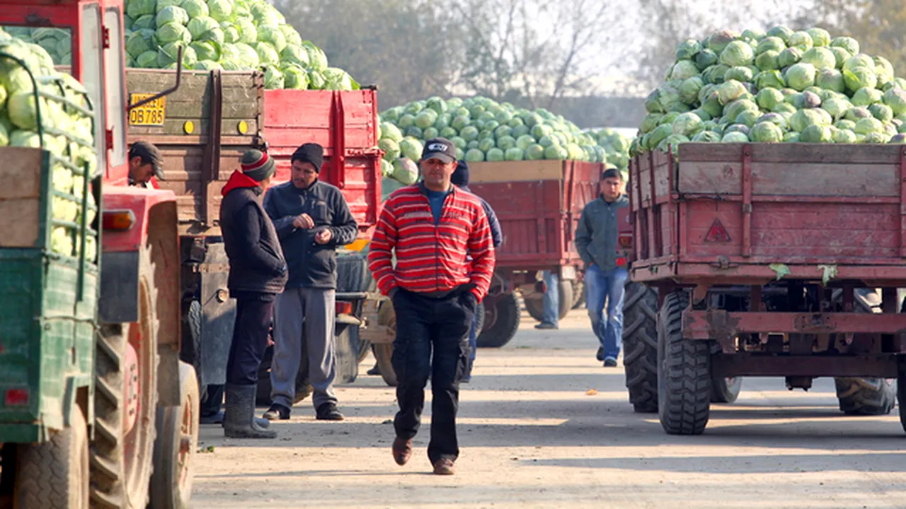 APIA: Pentru a primi renta pe 2015, rentierii agricoli trebuie sa îşi vizeze carnetele 