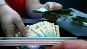 România nu a reuşit să exploateze, în criză, avantajele cursului valutar flexibil