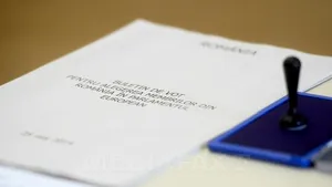 Rezultate finale ALEGERI EUROPARLAMENTARE 2014: Cum se împart mandatele în Parlamentul European