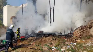 Ministrul Mediului anunţă majorarea amenzilor pentru arderea vegetaţiei uscate