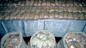 Captură record de droguri în Dubai