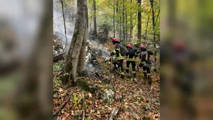 Incendii de vegetație în zona Parcului Național Domogled – Valea Cernei: Trei elicoptere au participat la stingerea flăcărilor. Se va realiza o recunoaștere aeriană