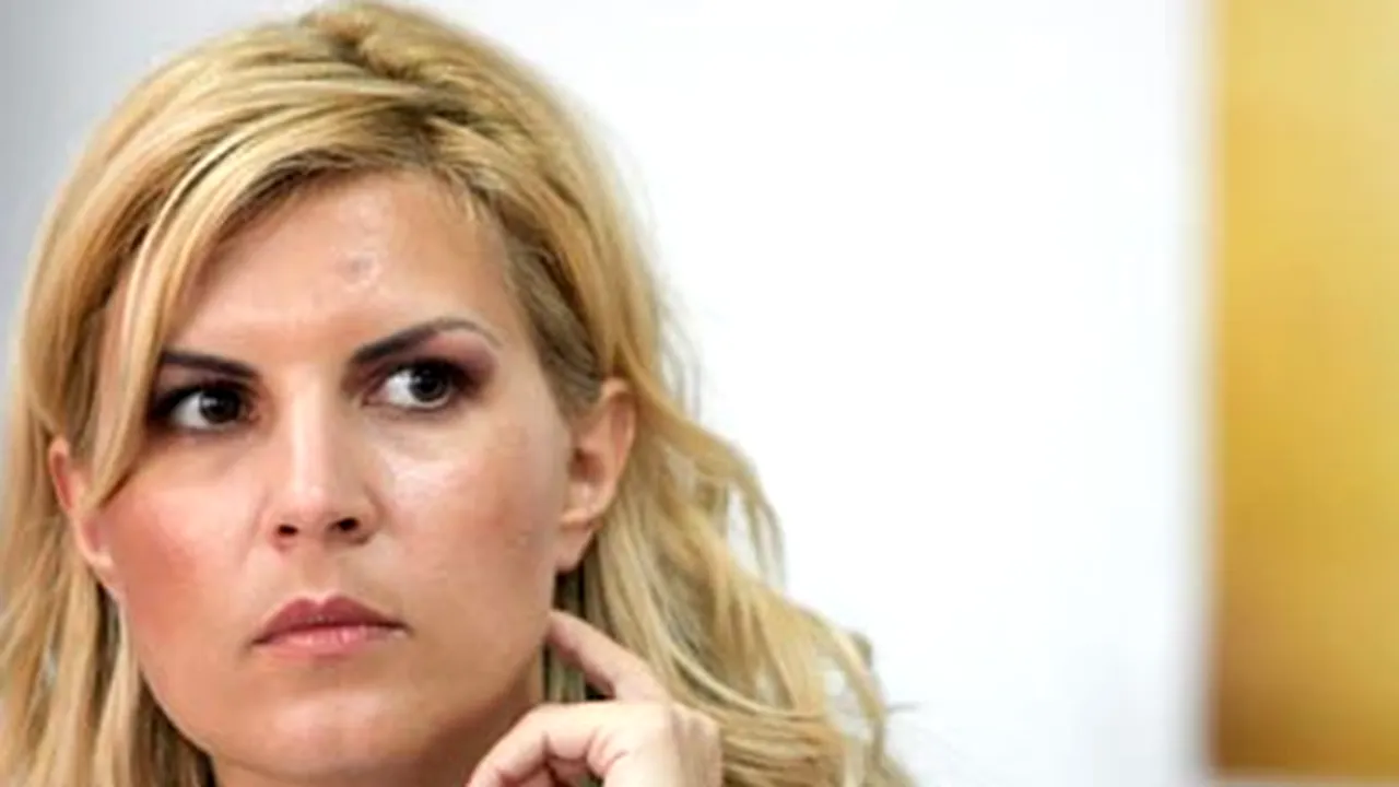 Udrea a renunţat să promoveze în Guvern zona Parâng-Petroşani