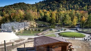 Pinguini şi foci gri, la ZOO Braşov. Autorităţile construiesc un adăpost de 3 milioane lei 