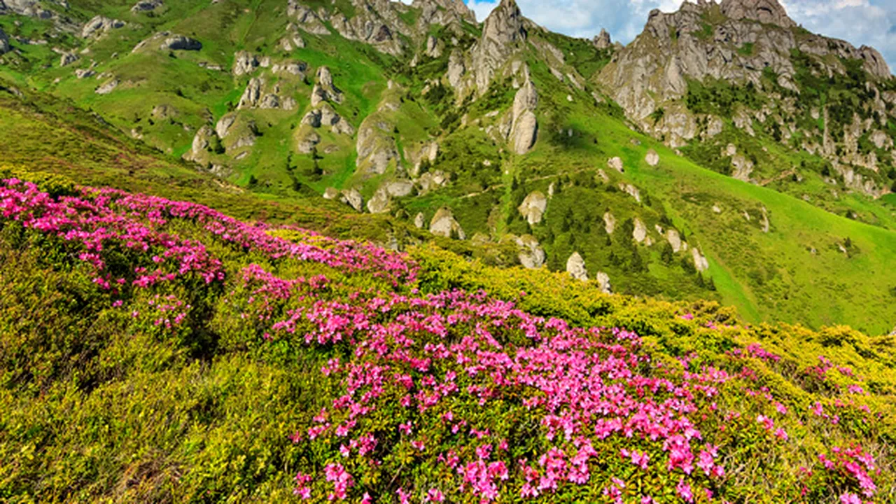 Vama Buzăului, desemnată a opta destinaţie ecoturistică din România