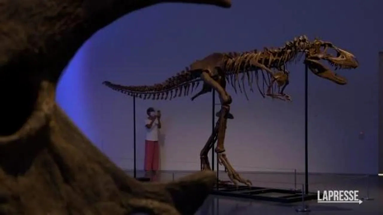 Schelet de dinozaur vândut la licitaţie pentru 6,1 milioane de dolari