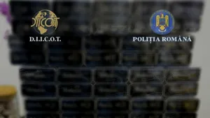 Rețea de contrabandă cu țigări, destructurată de DIICOT în Covasna, Harghita și Brașov