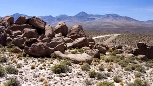 Cum ARATĂ un deşert după ploaie - IMAGINI SPECTACULOASE