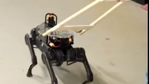 În curând, roboții le vor fura joburile și câinilor / Câinele-robot care „vorbește” cu utilizatorul orb