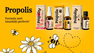 Propolisul - formula unei imunităţi perfecte 