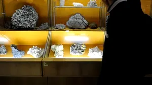 FOCUS: Mii de tineri bucureşteni au ales să-şi petreacă sâmbătă seara la muzee