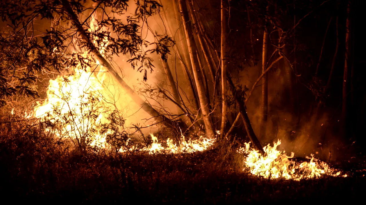 Risc major de producere a unor incendii de vegetaţie în Portugalia
