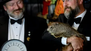 Azi este Ziua Cârtiţei. Phil va prezice vremea pentru următoarele 6 săptămâni