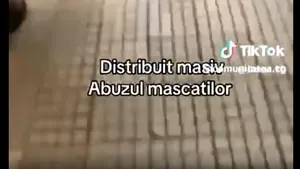 Jandarmeria Capitalei dezminte legătura unui videoclip viral de pe TikTok cu evenimentele recente