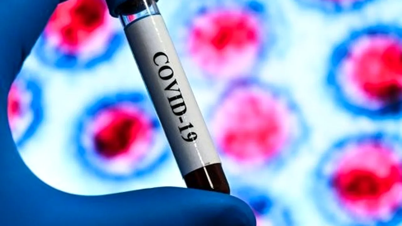 Bilanţ coronavirus 6 iunie. 213 cazuri noi înregistrate în ultimele 24 de ore