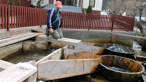 GALERIE FOTO Bistriţenii fac curăţenie de Paşti în mod tradiţional: Niciunde nu se spală ca la vâltori