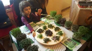 GALERIE FOTO Afacere începută în balcon: un prahovean produce plante comestibile pentru marile restaurante
