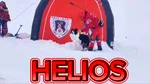 Helios, pionierul unităților canine din Salvamont România, se pregătește de pensie după 12 ani